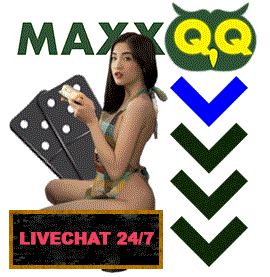 Livechat MaxxQQ